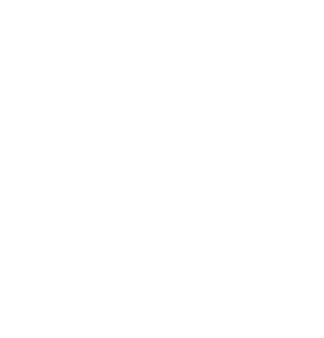 QUIROPRAXIA